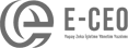 E-CEO